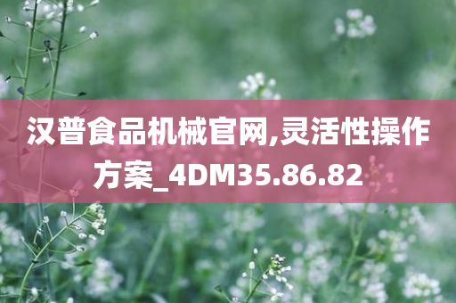 汉普食品机械官网,灵活性操作方案_4DM35.86.82