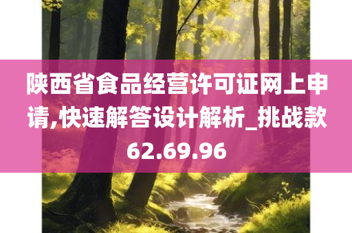 陕西省食品经营许可证网上申请,快速解答设计解析_挑战款62.69.96