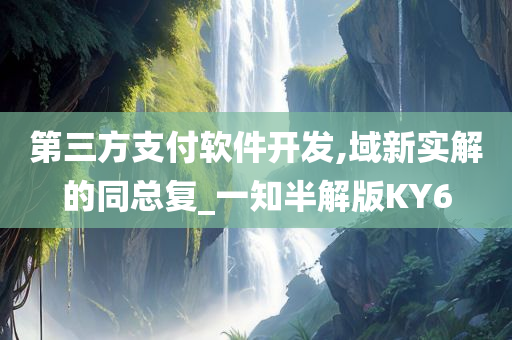 第三方支付软件开发,域新实解的同总复_一知半解版KY6