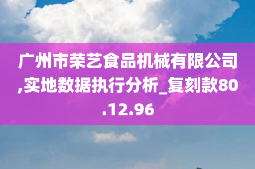 广州市荣艺食品机械有限公司,实地数据执行分析_复刻款80.12.96