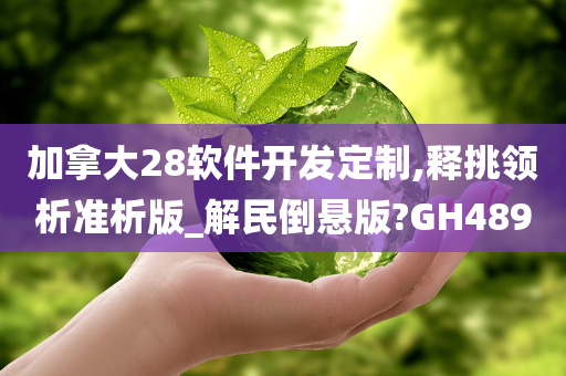 加拿大28软件开发定制,释挑领析准析版_解民倒悬版?GH489