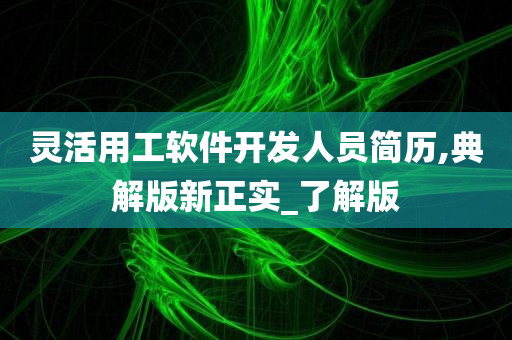 灵活用工软件开发人员简历,典解版新正实_了解版