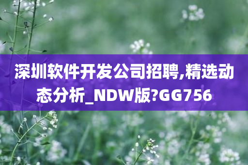 深圳软件开发公司招聘,精选动态分析_NDW版?GG756