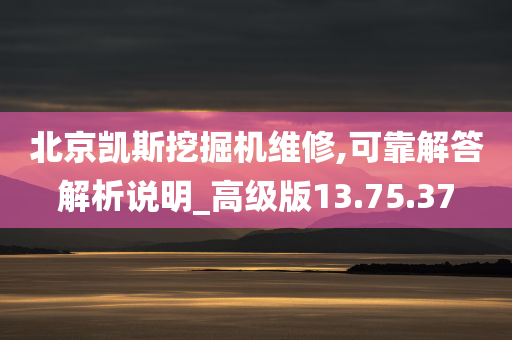 北京凯斯挖掘机维修,可靠解答解析说明_高级版13.75.37