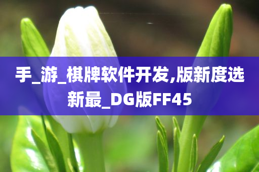 手_游_棋牌软件开发,版新度选新最_DG版FF45