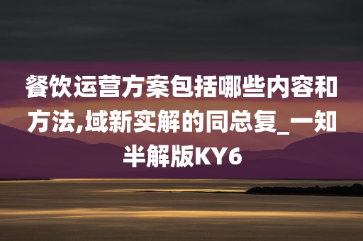 餐饮运营方案包括哪些内容和方法,域新实解的同总复_一知半解版KY6