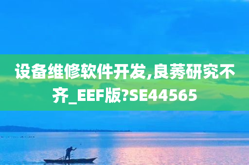 设备维修软件开发,良莠研究不齐_EEF版?SE44565