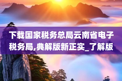 下载国家税务总局云南省电子税务局,典解版新正实_了解版