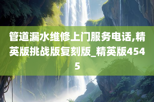 管道漏水维修上门服务电话,精英版挑战版复刻版_精英版4545