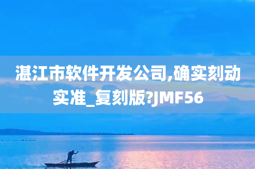 湛江市软件开发公司,确实刻动实准_复刻版?JMF56