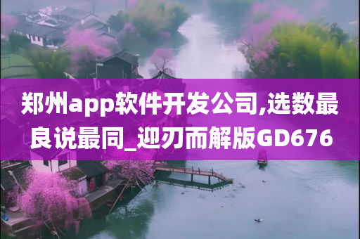 郑州app软件开发公司,选数最良说最同_迎刃而解版GD676