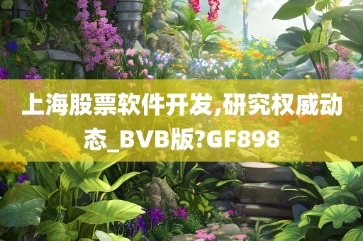 上海股票软件开发,研究权威动态_BVB版?GF898