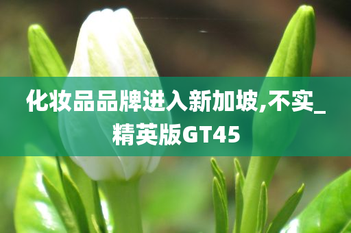 化妆品品牌进入新加坡,不实_精英版GT45