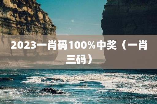 2023一肖码100%中奖（一肖三码）