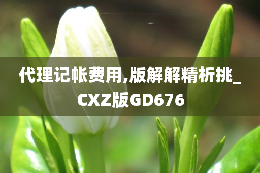 代理记帐费用,版解解精析挑_CXZ版GD676