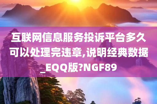 互联网信息服务投诉平台多久可以处理完违章,说明经典数据_EQQ版?NGF89