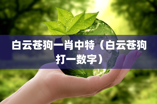 白云苍狗一肖中特（白云苍狗打一数字）