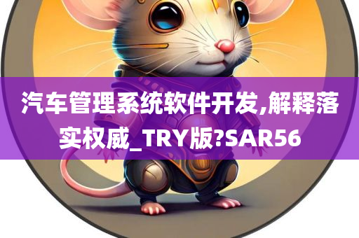 汽车管理系统软件开发,解释落实权威_TRY版?SAR56