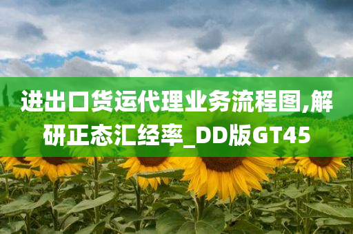 进出口货运代理业务流程图,解研正态汇经率_DD版GT45