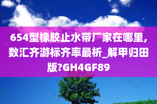 654型橡胶止水带厂家在哪里,数汇齐游标齐率最析_解甲归田版?GH4GF89