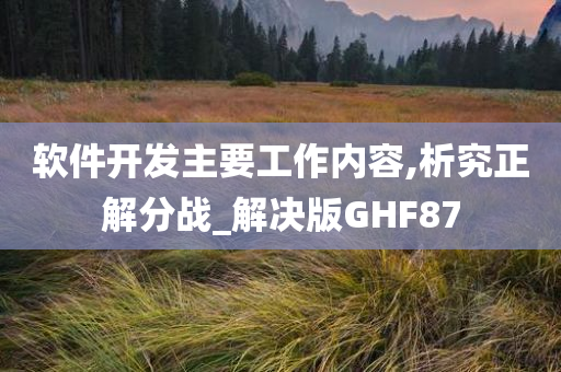 软件开发主要工作内容,析究正解分战_解决版GHF87