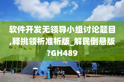 软件开发无领导小组讨论题目,释挑领析准析版_解民倒悬版?GH489