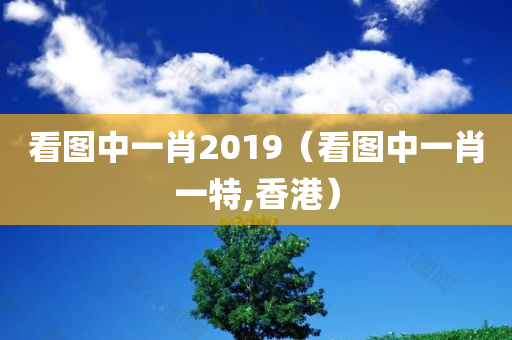 看图中一肖2019（看图中一肖一特,香港）