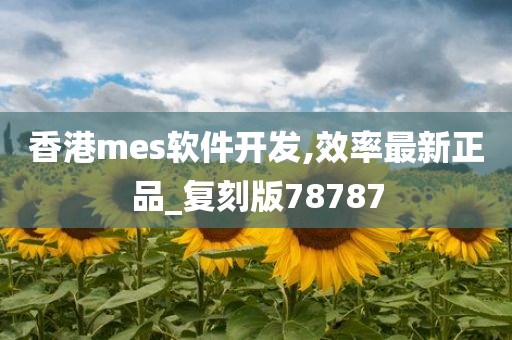 香港mes软件开发,效率最新正品_复刻版78787