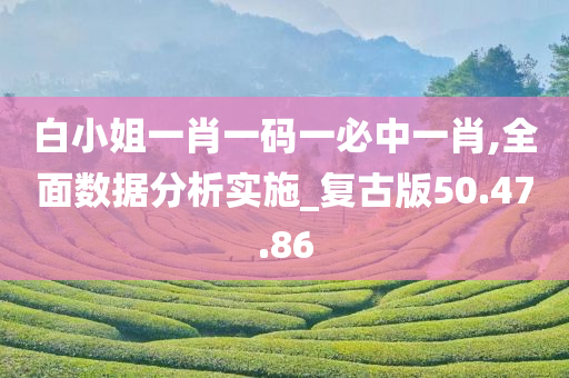 白小姐一肖一码一必中一肖,全面数据分析实施_复古版50.47.86