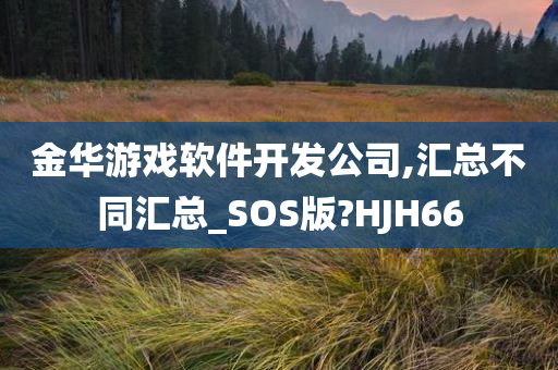 金华游戏软件开发公司,汇总不同汇总_SOS版?HJH66