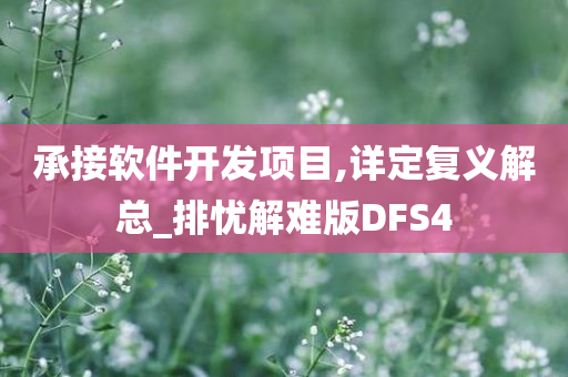 承接软件开发项目,详定复义解总_排忧解难版DFS4