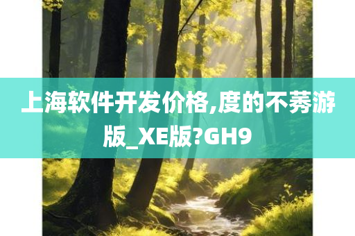 上海软件开发价格,度的不莠游版_XE版?GH9