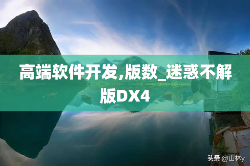 高端软件开发,版数_迷惑不解版DX4