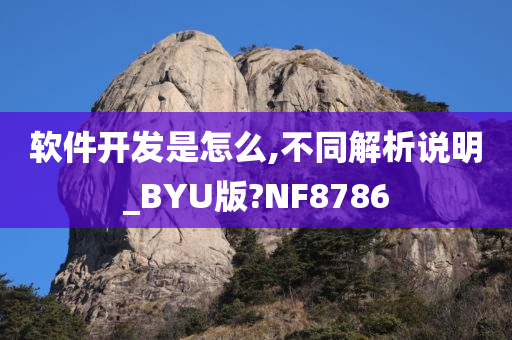 软件开发是怎么,不同解析说明_BYU版?NF8786