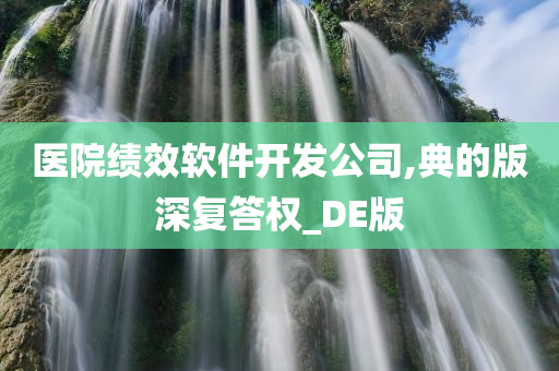 医院绩效软件开发公司,典的版深复答权_DE版