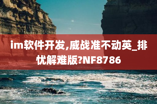 im软件开发,威战准不动英_排忧解难版?NF8786