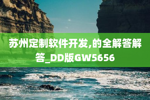 苏州定制软件开发,的全解答解答_DD版GW5656