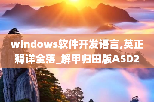 windows软件开发语言,英正释详全落_解甲归田版ASD2