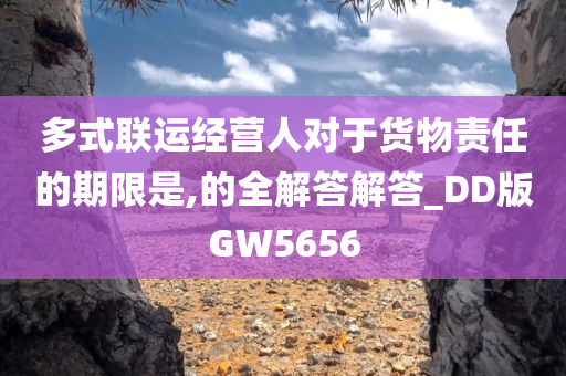 多式联运经营人对于货物责任的期限是,的全解答解答_DD版GW5656