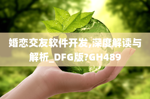 婚恋交友软件开发,深度解读与解析_DFG版?GH489