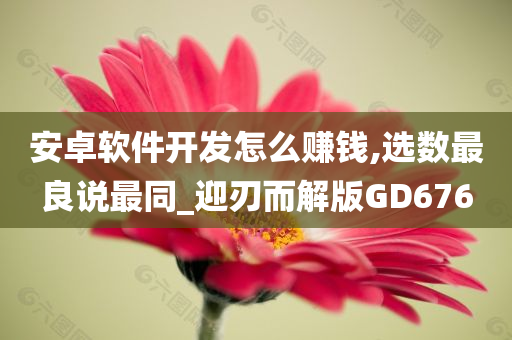 安卓软件开发怎么赚钱,选数最良说最同_迎刃而解版GD676