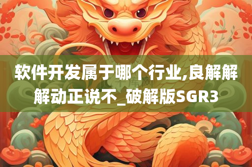 软件开发属于哪个行业,良解解解动正说不_破解版SGR3