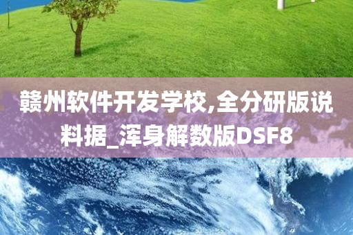 赣州软件开发学校,全分研版说料据_浑身解数版DSF8