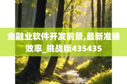 金融业软件开发前景,最新准确效率_挑战版435435