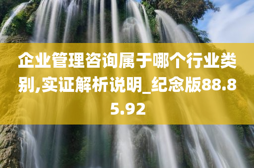 企业管理咨询属于哪个行业类别,实证解析说明_纪念版88.85.92