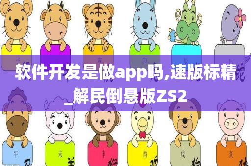 软件开发是做app吗,速版标精_解民倒悬版ZS2