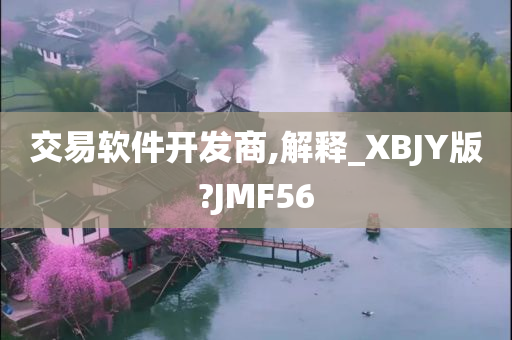 交易软件开发商,解释_XBJY版?JMF56