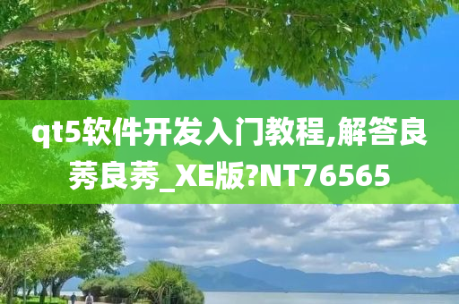 qt5软件开发入门教程,解答良莠良莠_XE版?NT76565