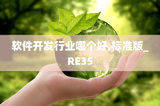 软件开发行业哪个好,标准版_RE35