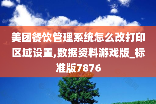 美团餐饮管理系统怎么改打印区域设置,数据资料游戏版_标准版7876